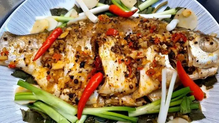 Các Loại Cá Mè Phổ Biến và Hướng Dẫn Chăm Sóc Chi Tiết