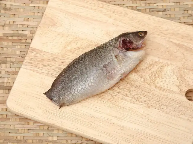 các loại cá sông