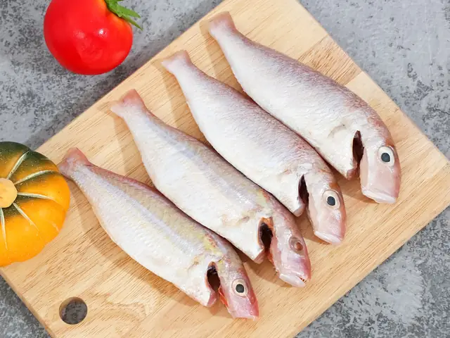 các loại cá sông