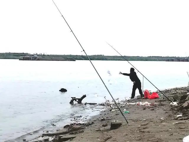 Khám Phá Sự Đa Dạng Các Loại Cá Sông Hồng Tuyệt Đẹp