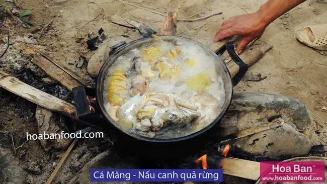 Khám phá các loại cá suối Tây Bắc: Đặc điểm, Môi trường & Giá trị Khám phá các loại cá suối Tây Bắc: Đặc điểm, Môi trường & Giá trị