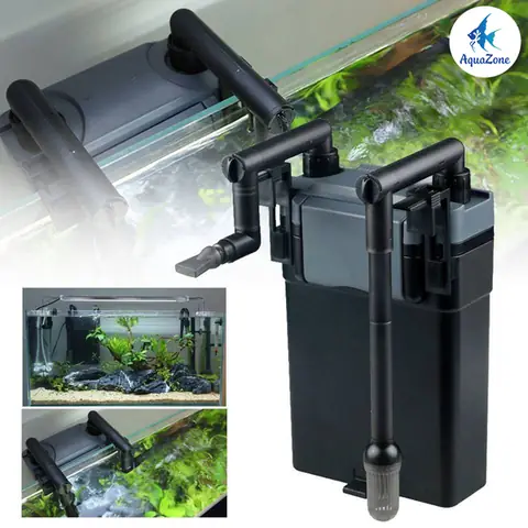 Tổng hợp các loại cá thông dụng phổ biến nhất hiện nay