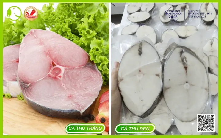 các loại cá thu