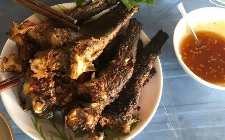 Khám phá các loài cá trê phổ biến và đặc điểm nổi bật của chúng