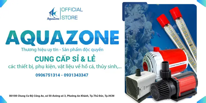 Tóm lại: