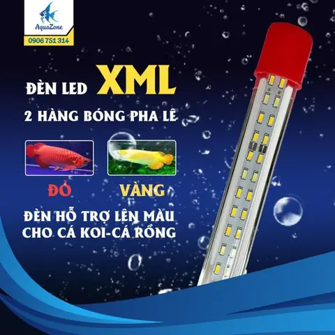 5. Đèn LED hồ cá rồng