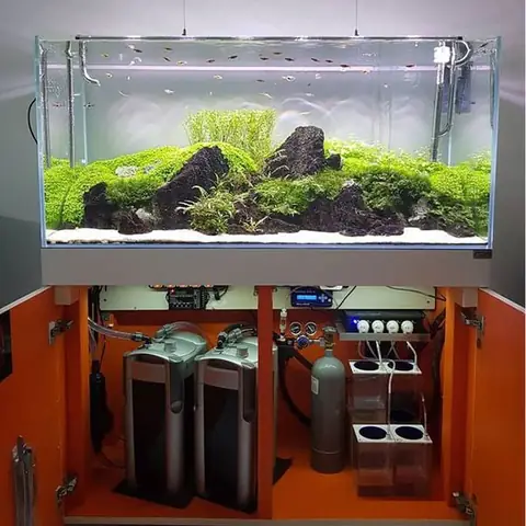 Các Loại Máy Lọc Nước Bể Cá Cảnh Phổ Biến và Hướng Dẫn Lựa Chọn Các Loại Máy Lọc Nước Bể Cá Cảnh Phổ Biến và Hướng Dẫn Lựa Chọn