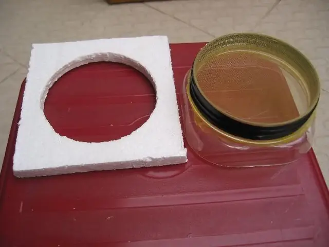 Hướng Dẫn Chi Tiết Cách Ấp Trứng Cá Betta Thành Công Cho Người Mới Bắt Đầu