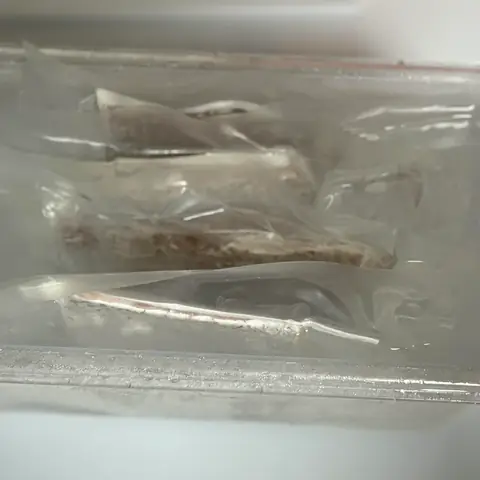 Hướng Dẫn Chi Tiết Cách Cho Cá Ăn Trùn Chỉ Đông Lạnh Hướng Dẫn Chi Tiết Cách Cho Cá Ăn Trùn Chỉ Đông Lạnh