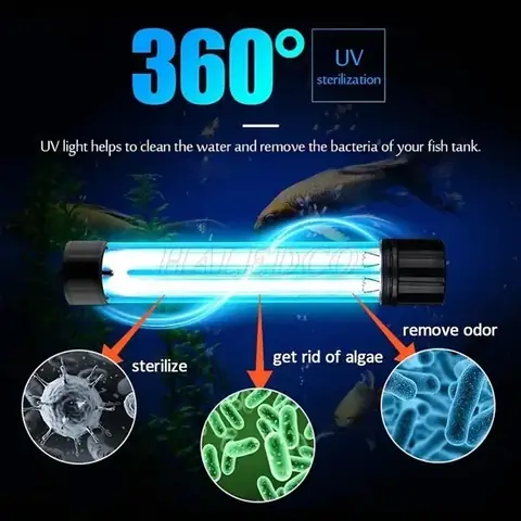 Cách Chọn Đèn UV Cho Hồ Cá: Từ Công Suất Đến Lắp Đặt Hiệu Quả