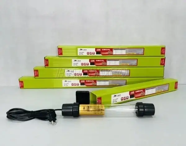 Cách Chọn Đèn UV Cho Hồ Cá: Từ Công Suất Đến Lắp Đặt Hiệu Quả