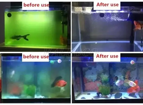 Cách Chọn Đèn UV Cho Hồ Cá: Từ Công Suất Đến Lắp Đặt Hiệu Quả