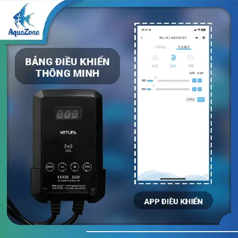 Cách Đặt Máy Bơm Trong Bể Cá Đúng Kỹ Thuật Đơn Giản
