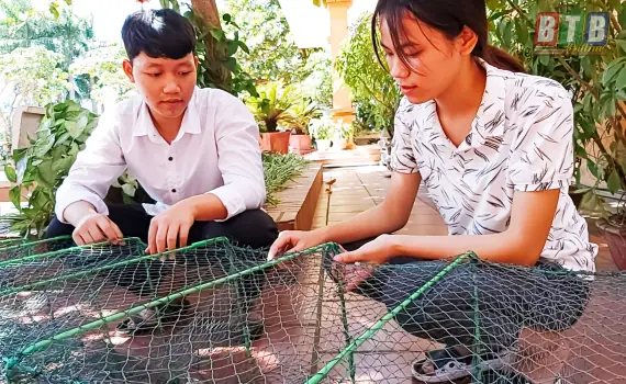 Cách Diệt Cá Dọn Bể Hiệu Quả và An Toàn