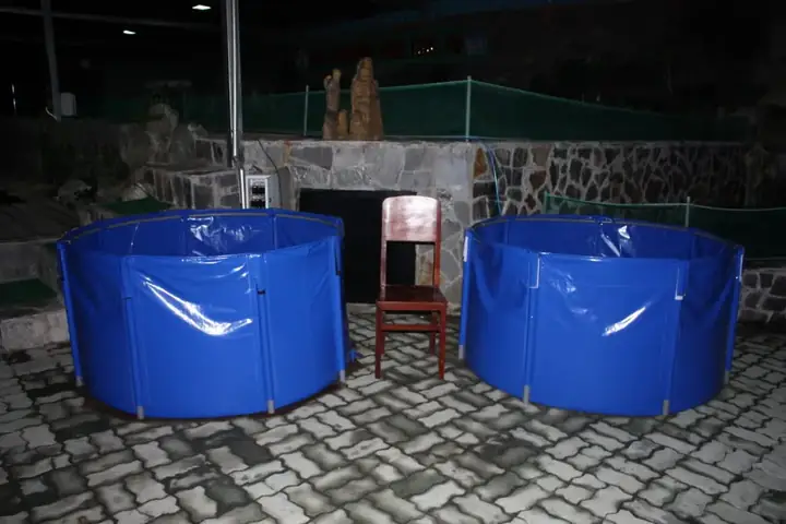 Làm Thế Nào Để Dưỡng Cá Koi Mới Mua Về Khỏe Mạnh Và Thích Nghi Nhanh?
