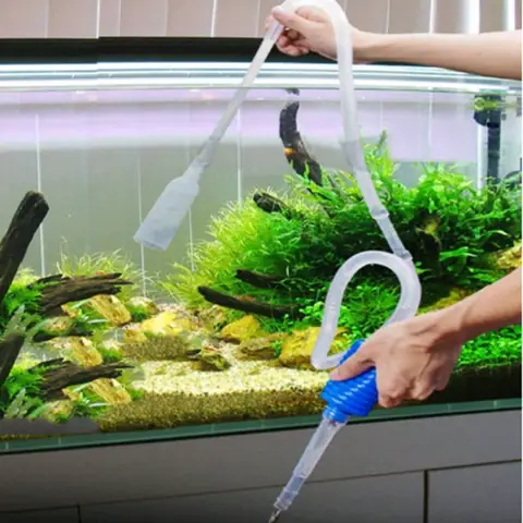 Hướng Dẫn Cách Hút Nước Hồ Cá Hiệu Quả Và An Toàn Nhất