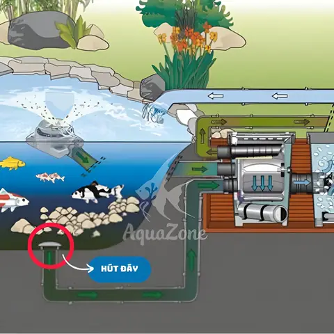 Hướng Dẫn Cách Hút Nước Hồ Cá Hiệu Quả Và An Toàn Nhất Hướng Dẫn Cách Hút Nước Hồ Cá Hiệu Quả Và An Toàn Nhất