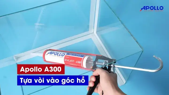 Hướng Dẫn Toàn Diện Cách Khắc Phục Bể Cá Bị Rò Nước Hướng Dẫn Toàn Diện Cách Khắc Phục Bể Cá Bị Rò Nước