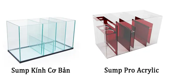 Hướng dẫn chi tiết cách làm bể cá lọc vách tại nhà