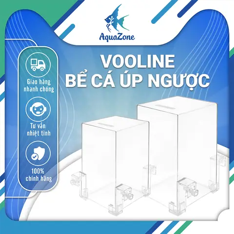 Hướng Dẫn Chi Tiết Cách Làm Bể Cá Úp Ngược