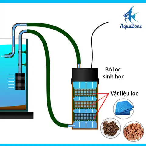 cách làm bộ lọc nước hồ cá đơn giản
