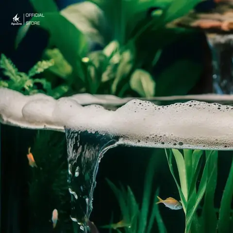 Hướng Dẫn Cách Làm Cá Đá Hung Dữ Đúng Cách