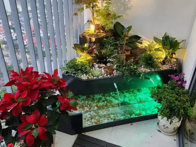 1.1 Hồ cá xi măng kết hợp kính
