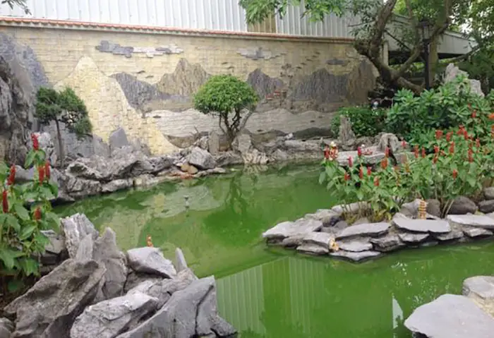 Hướng Dẫn Chi Tiết Cách Làm Hồ Cá Ngoài Trời Đẹp Và Bền Vững Hướng Dẫn Chi Tiết Cách Làm Hồ Cá Ngoài Trời Đẹp Và Bền Vững