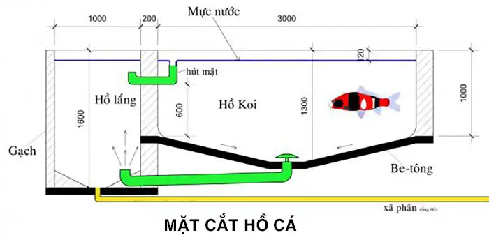 Hướng Dẫn Chi Tiết Cách Làm Hồ Cá Ngoài Trời Đẹp Và Bền Vững Hướng Dẫn Chi Tiết Cách Làm Hồ Cá Ngoài Trời Đẹp Và Bền Vững