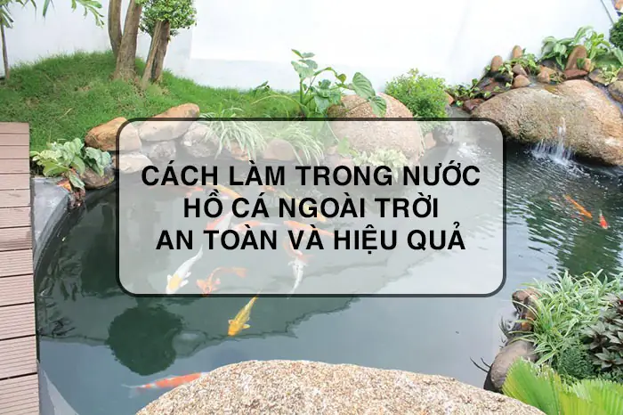 Hướng Dẫn Chi Tiết Cách Làm Hồ Cá Ngoài Trời Đẹp Và Bền Vững