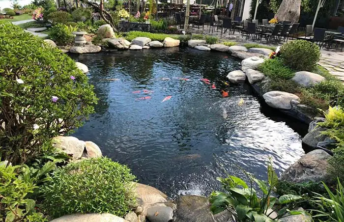 Hướng Dẫn Chi Tiết Cách Làm Hồ Cá Ngoài Trời Đẹp Và Bền Vững Hướng Dẫn Chi Tiết Cách Làm Hồ Cá Ngoài Trời Đẹp Và Bền Vững