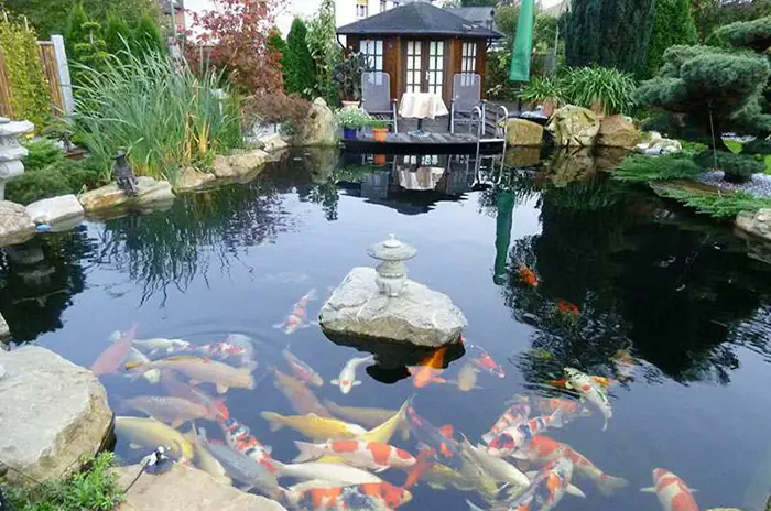 Hướng Dẫn Chi Tiết Cách Làm Hồ Cá Ngoài Trời Đẹp Và Bền Vững Hướng Dẫn Chi Tiết Cách Làm Hồ Cá Ngoài Trời Đẹp Và Bền Vững