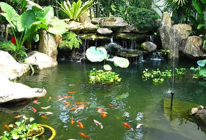 Hướng Dẫn Chi Tiết Cách Làm Hồ Cá Ngoài Trời Đẹp Và Bền Vững Hướng Dẫn Chi Tiết Cách Làm Hồ Cá Ngoài Trời Đẹp Và Bền Vững