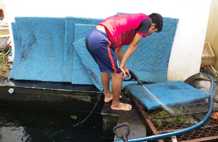 Hướng Dẫn Chi Tiết Cách Làm Hồ Cá Ngoài Trời Đẹp Và Bền Vững Hướng Dẫn Chi Tiết Cách Làm Hồ Cá Ngoài Trời Đẹp Và Bền Vững