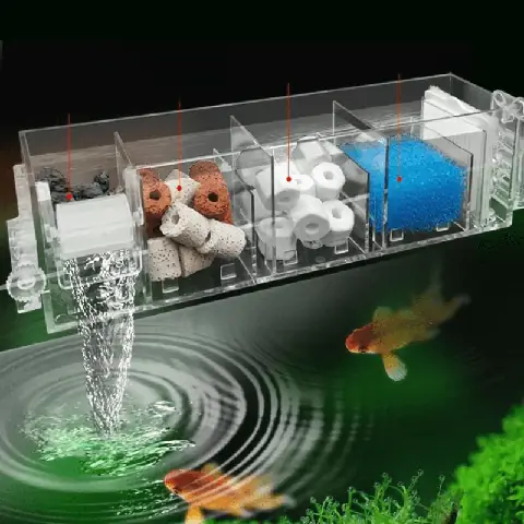 Hướng Dẫn Chi Tiết: Cách Làm Lọc Tràn Trên Cho Bể Cá