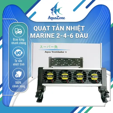 Cách Làm Mát Bể Cá Hiệu Quả và An Toàn Cho Thủy Sinh Cách Làm Mát Bể Cá Hiệu Quả và An Toàn Cho Thủy Sinh