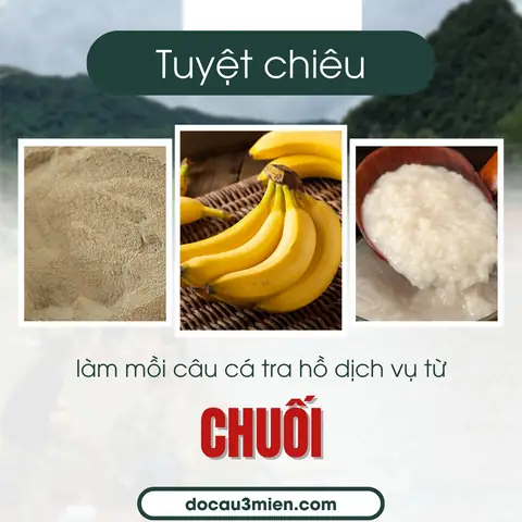 Hướng Dẫn Chi Tiết Các Cách Làm Mồi Câu Cá Tra Hiệu Quả Nhất