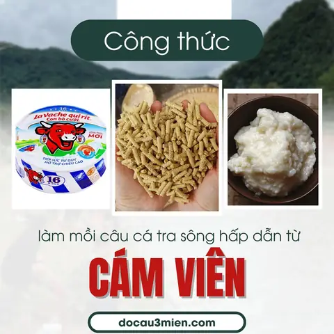 Hướng Dẫn Chi Tiết Các Cách Làm Mồi Câu Cá Tra Hiệu Quả Nhất