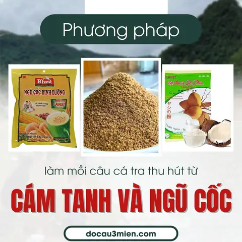 Hướng Dẫn Chi Tiết Các Cách Làm Mồi Câu Cá Tra Hiệu Quả Nhất