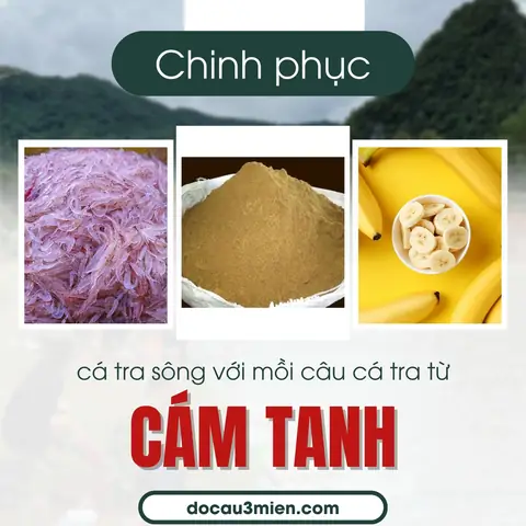 Hướng Dẫn Chi Tiết Các Cách Làm Mồi Câu Cá Tra Hiệu Quả Nhất