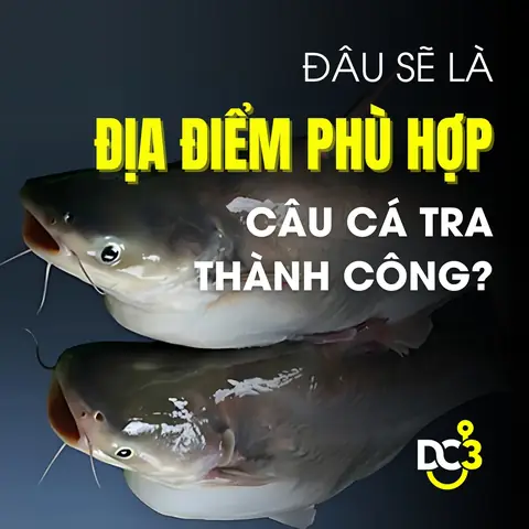 Hướng Dẫn Chi Tiết Các Cách Làm Mồi Câu Cá Tra Hiệu Quả Nhất