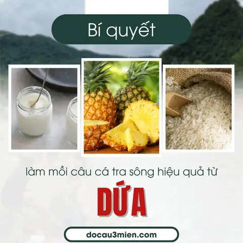 Hướng Dẫn Chi Tiết Các Cách Làm Mồi Câu Cá Tra Hiệu Quả Nhất