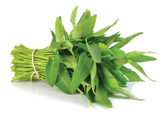 Tổng Hợp Cách Làm Mồi Câu Cá Trắm Hiệu Quả Nhất