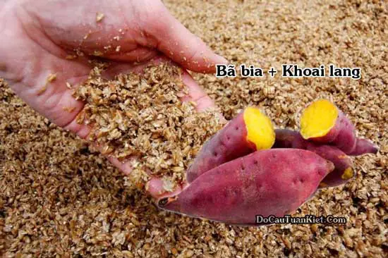 Tổng Hợp Cách Làm Mồi Câu Cá Trắm Hiệu Quả Nhất