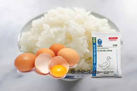 Hướng Dẫn Chi Tiết Cách Làm Mồi Câu Cá Trôi Hiệu Quả Nhất
