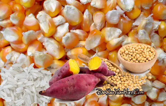Hướng Dẫn Chi Tiết Cách Làm Mồi Câu Cá Trôi Hiệu Quả Nhất