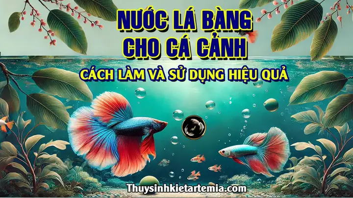 Cach Lam Nuoc La Bang Cho Ca Canh
