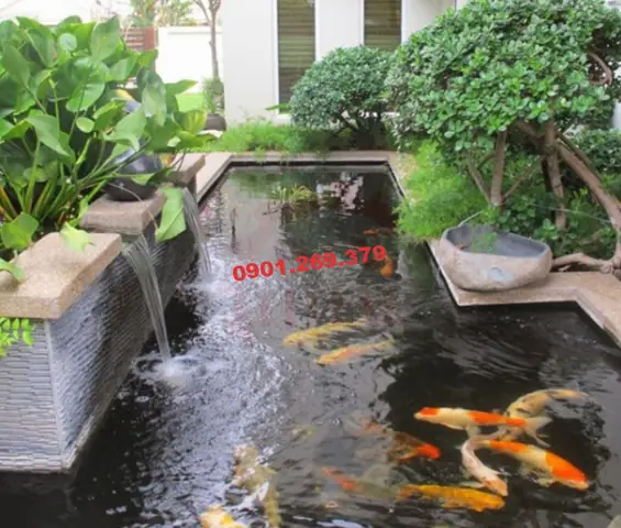 Hướng Dẫn Chi Tiết Cách Làm Thác Nước Bể Cá Đẹp & Chuyên Nghiệp