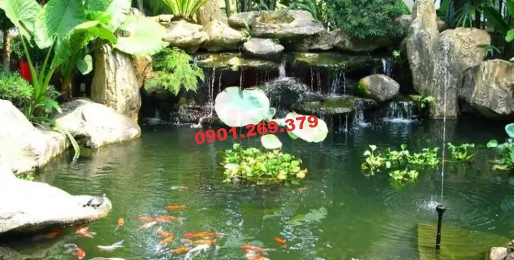 Hướng Dẫn Chi Tiết Cách Làm Thác Nước Bể Cá Đẹp & Chuyên Nghiệp