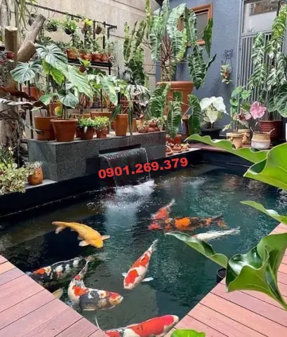Hướng Dẫn Chi Tiết Cách Làm Thác Nước Bể Cá Đẹp & Chuyên Nghiệp